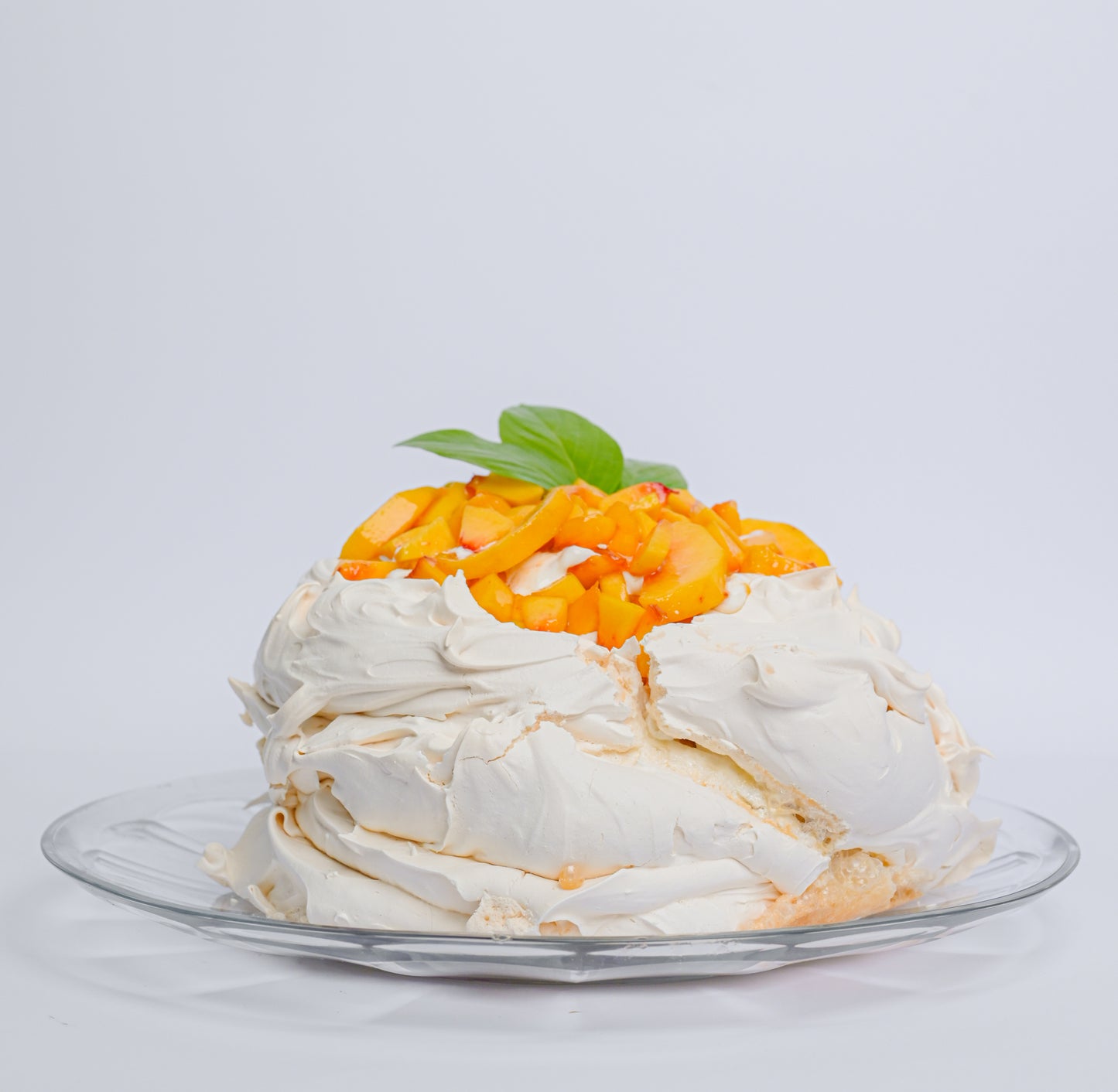 Pavlova Regular